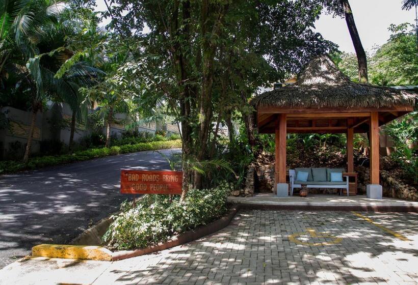 酒店 Boutique Lagarta Lodge