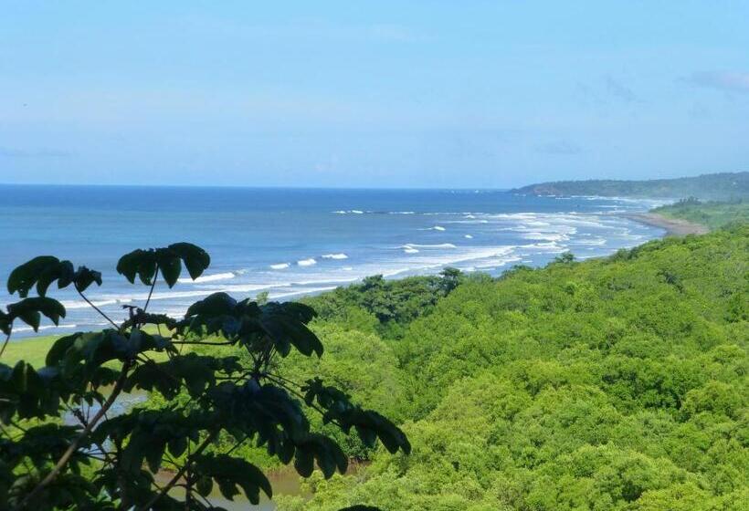 酒店 Boutique Lagarta Lodge