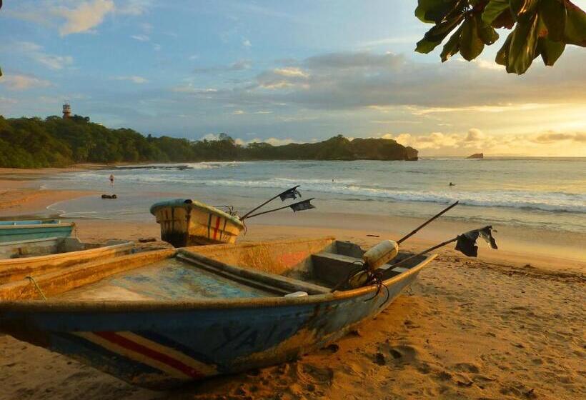 酒店 Boutique Lagarta Lodge