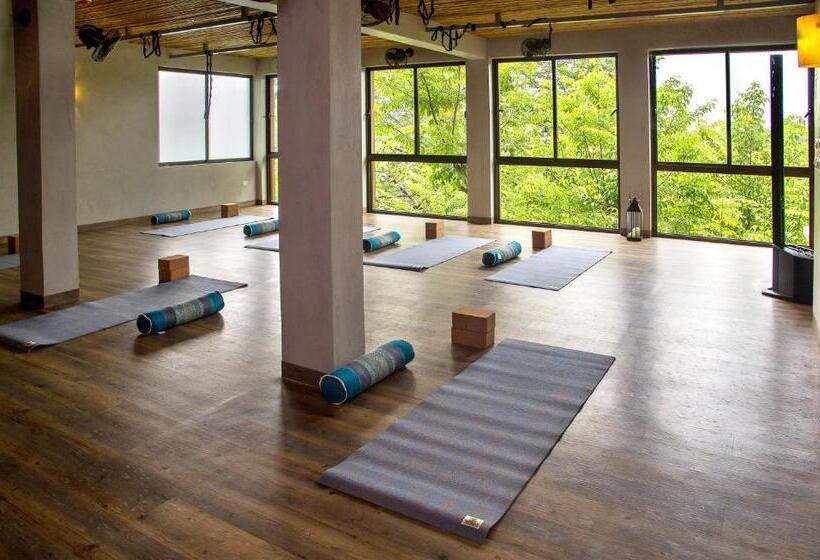 酒店 Boutique Lagarta Lodge