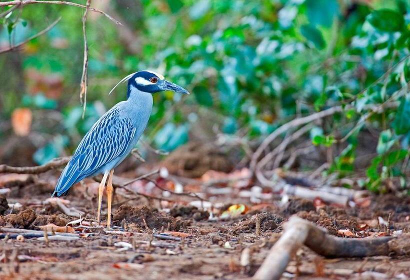 酒店 Boutique Lagarta Lodge