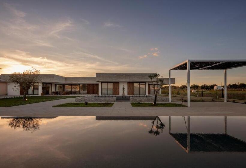 فندق L'and Vineyards