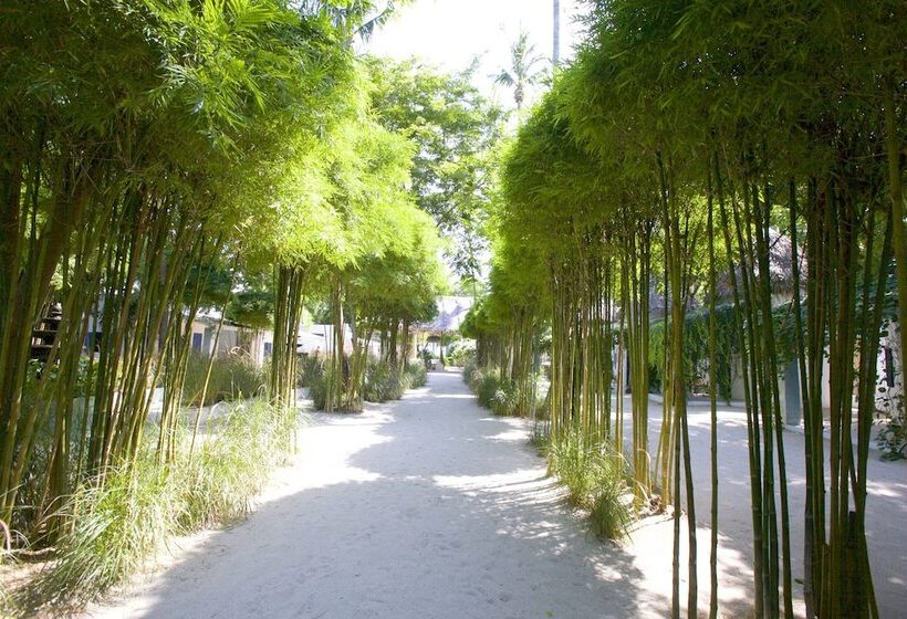 酒店 Lime N Soda Beachfront Resort