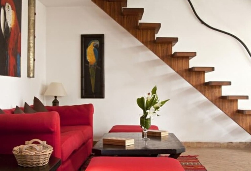 בית מלון כפרי Océan Vagabond