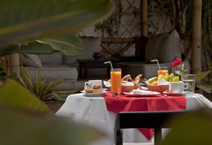 בית מלון כפרי Océan Vagabond