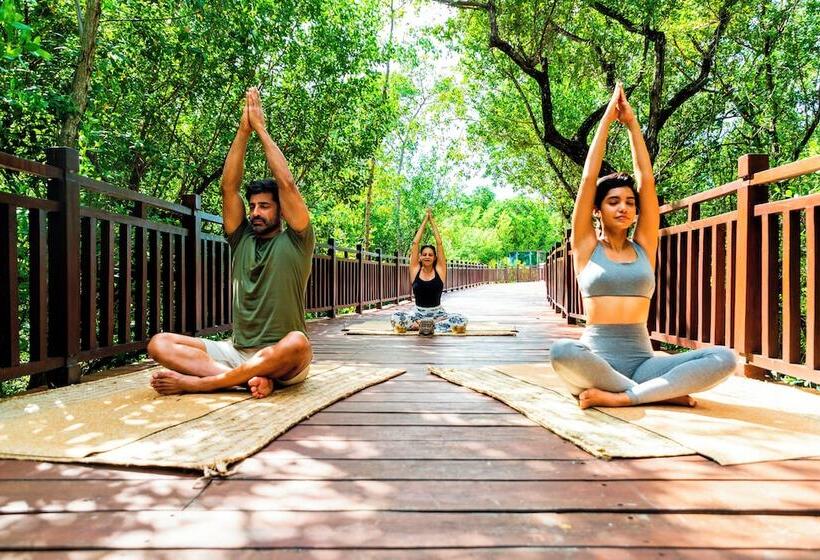 酒店 Paradisus La Perla   Adults Only   Riviera Maya   All Inclusive