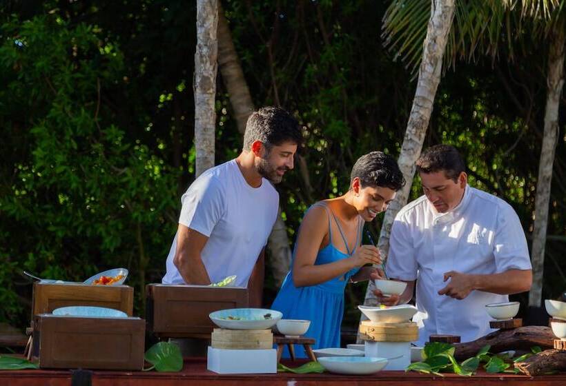 酒店 Paradisus La Perla   Adults Only   Riviera Maya   All Inclusive