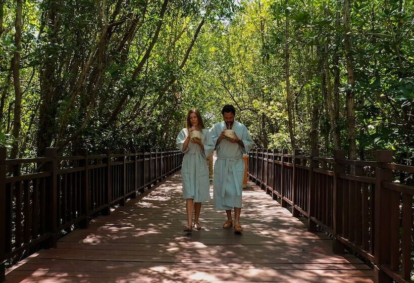 酒店 Paradisus La Perla   Adults Only   Riviera Maya   All Inclusive