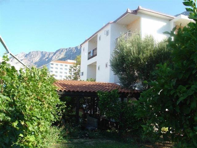 فندق Pension Vice