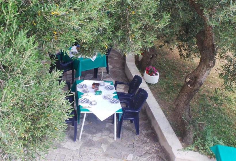 בית מלון כפרי Pension Vice