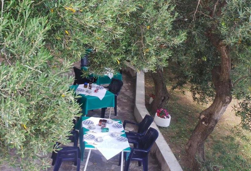 בית מלון כפרי Pension Vice