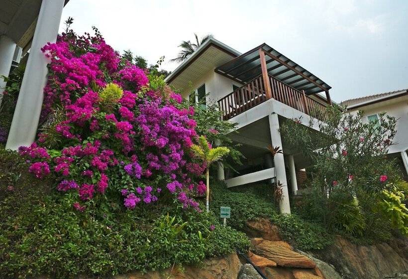 ホテル Pinnacle Koh Tao Resort