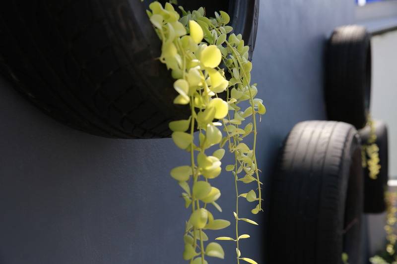 בית מלון כפרי Pj Patong Resortel