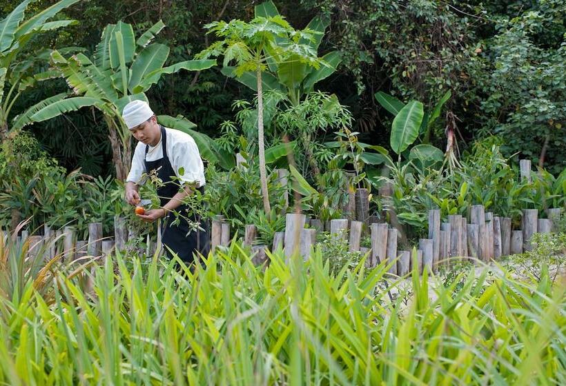 בית מלון כפרי Soneva Kiri