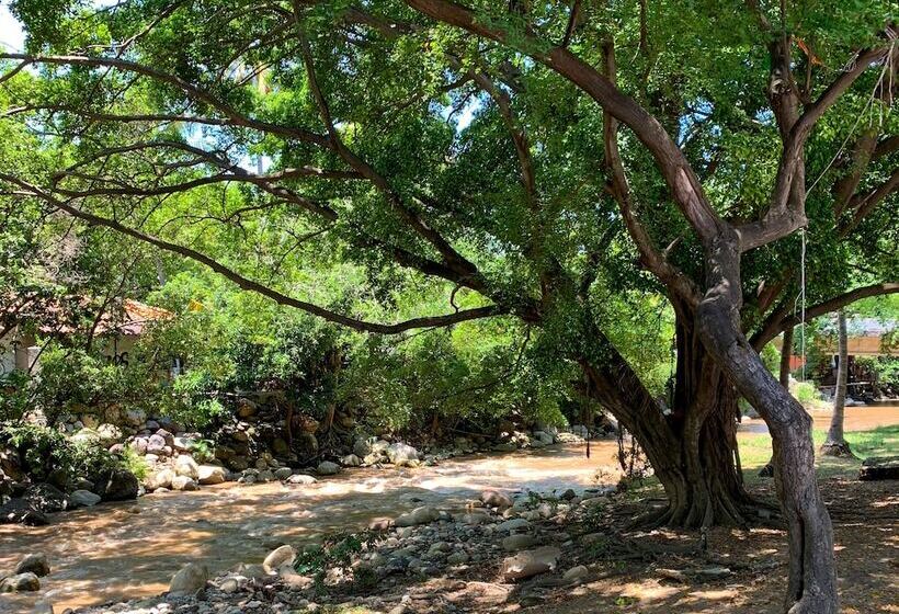 Suites Plaza Del Rio   Family Hotel Malecón Centro
