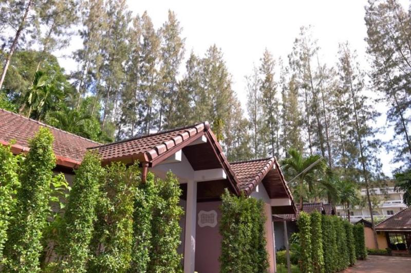 בית מלון כפרי The Delight Pine Tree Village