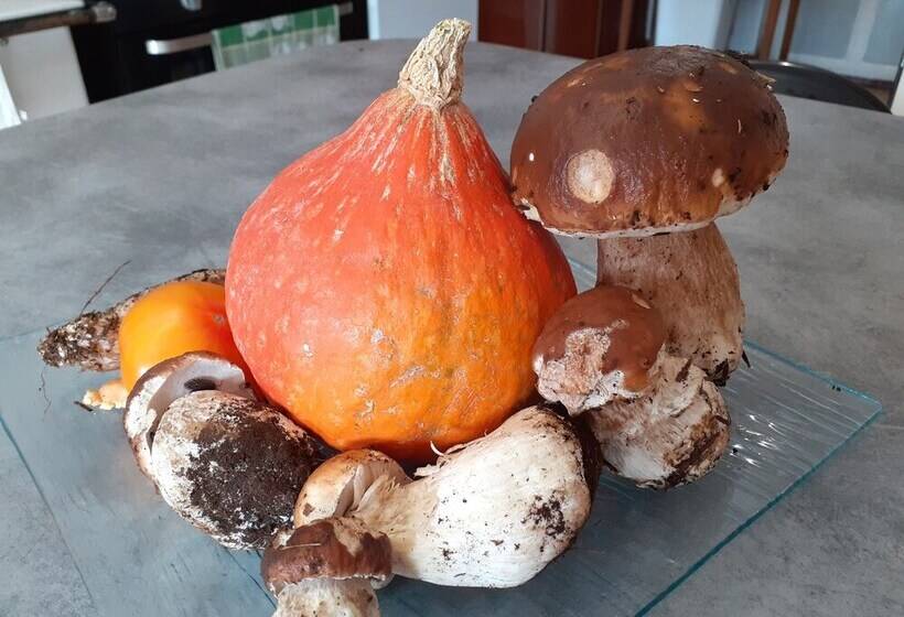 فندق The Originals Access, Hôtel Clermontferrand Nord