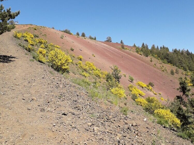 فندق The Originals Access, Hôtel Clermontferrand Nord