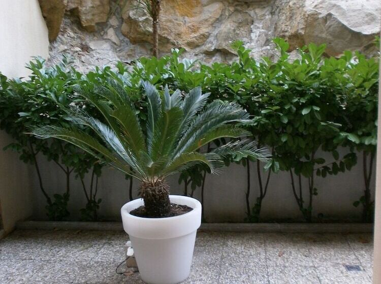 בית מלון כפרי The Residence Apart