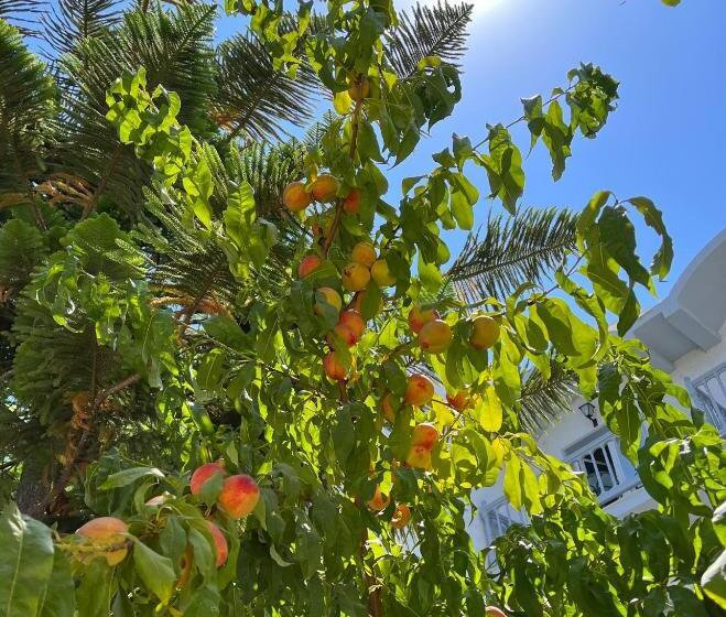 Theodorou Beach Hotel Apartments