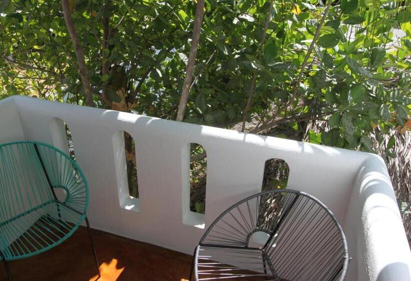 בית מלון כפרי Villa Mozart Y Macondo