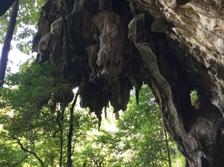 호텔 Wild Orchid Villa Krabi