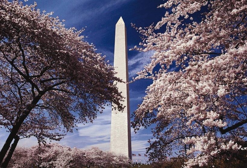 استراحتگاه Club Wyndham National Harbor