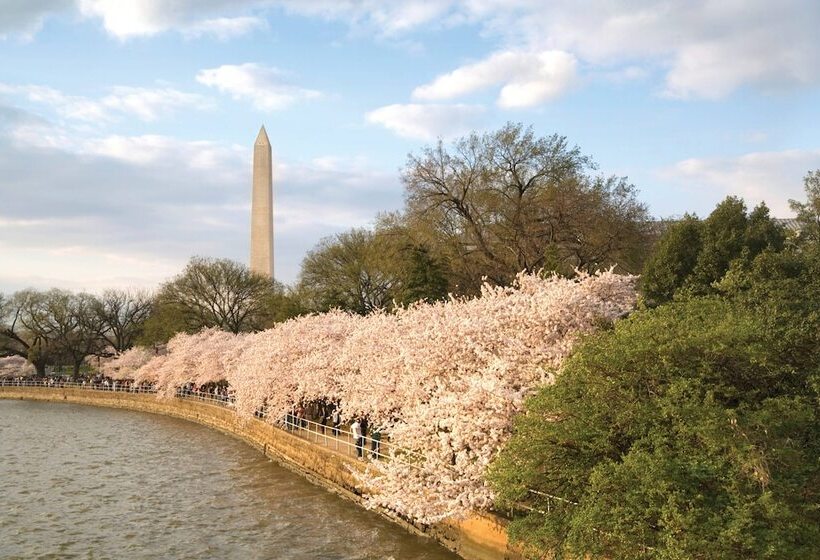 リゾートホテル Club Wyndham National Harbor