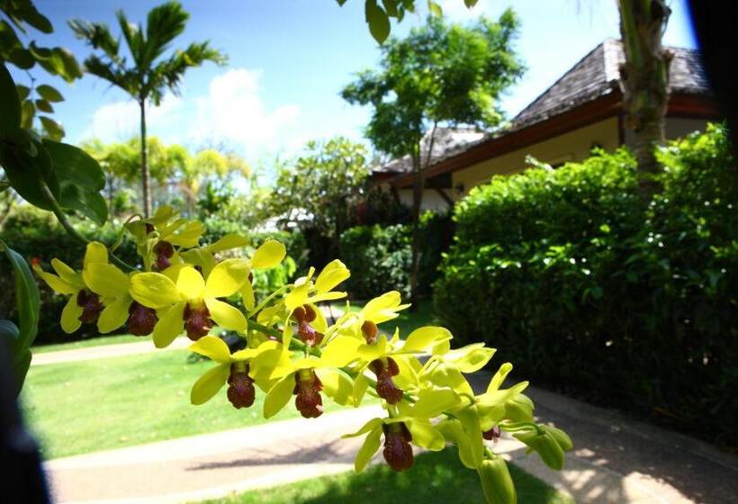 Pai Tan Villas   Sha Extra Plus