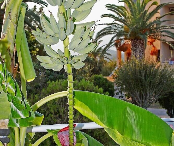 Roselands Hotel Bungalows