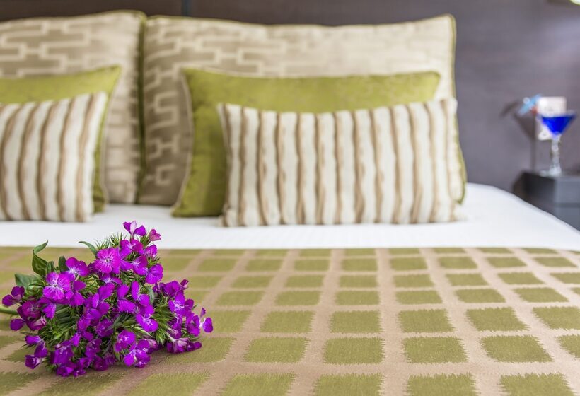 Studio Hotel Boutique