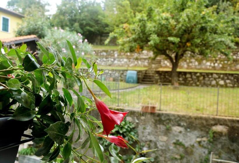 ベッドアンドブレックファースト Corte Picasass