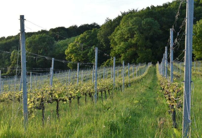 민박 Wijndomein Zwaeneberg