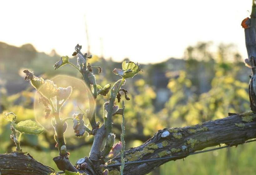 민박 Wijndomein Zwaeneberg