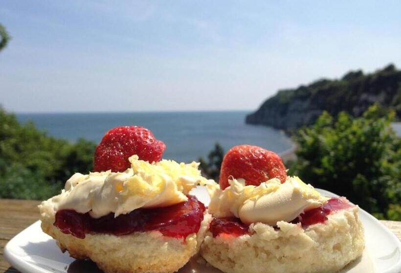 بنسيون Bay View Guest House