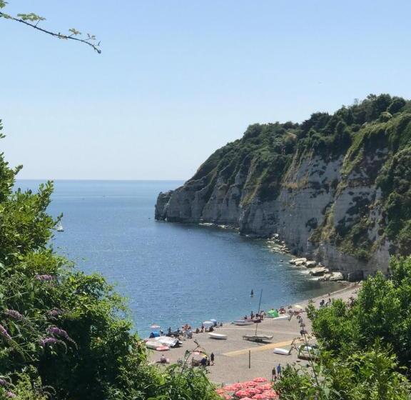 بنسيون Bay View Guest House