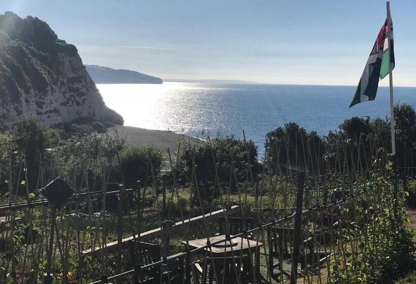 بنسيون Bay View Guest House