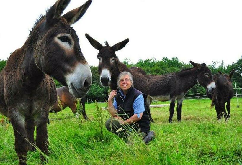 Пансион Domaine De Kernanou