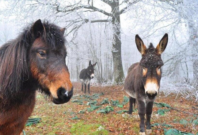 Пансион Domaine De Kernanou