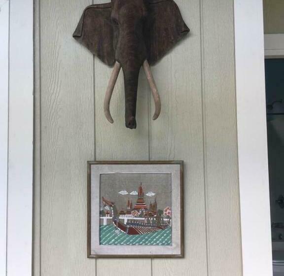 بنسيون Hale Paradise