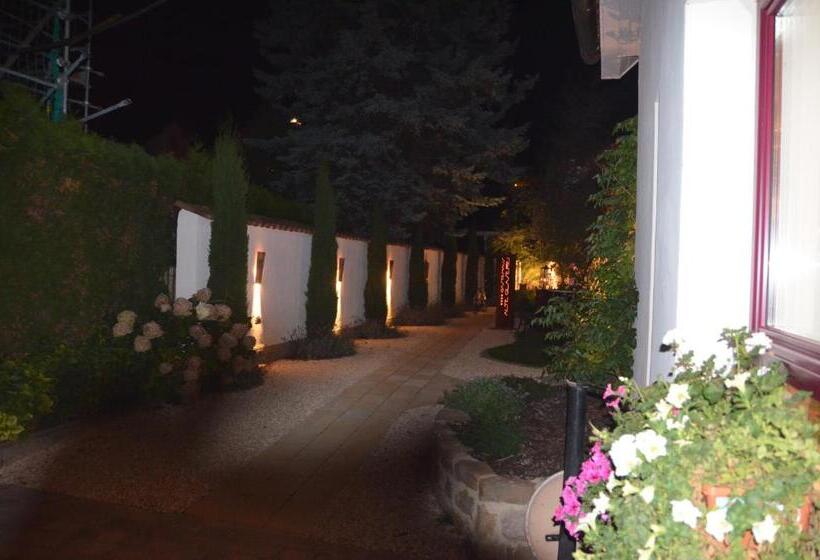 旅馆 Gästehaus Alte Glaserei