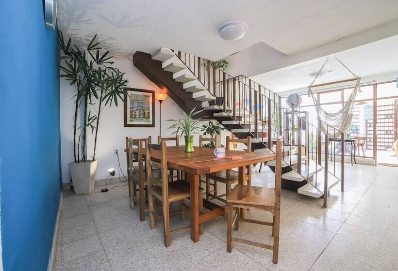 Общежитие Base Camp México