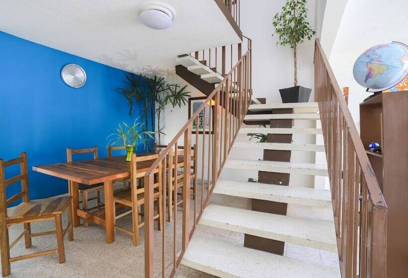 Общежитие Base Camp México