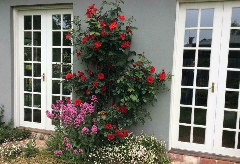 Bed and Breakfast Hollyoak