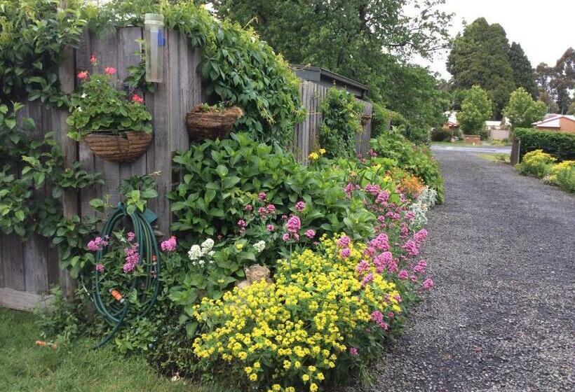 Bed and Breakfast Hollyoak