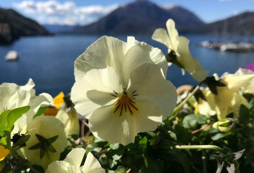 ペンション Gli Oleandri