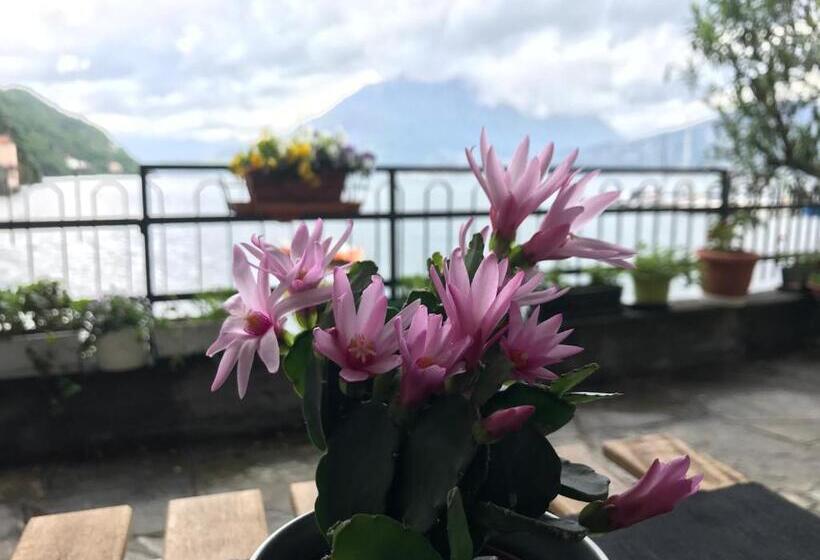 ペンション Gli Oleandri