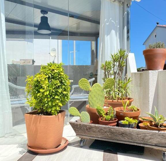 膳宿费 O Tourinho