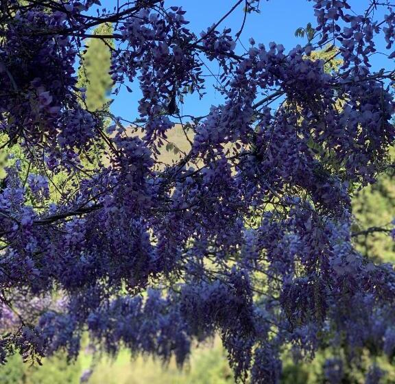 ペンション San Martino Vald Afra