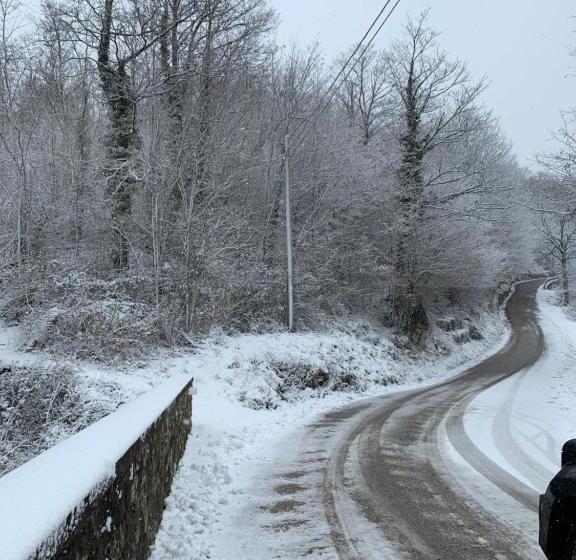 ペンション San Martino Vald Afra